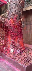 Diwali and Kali Puja