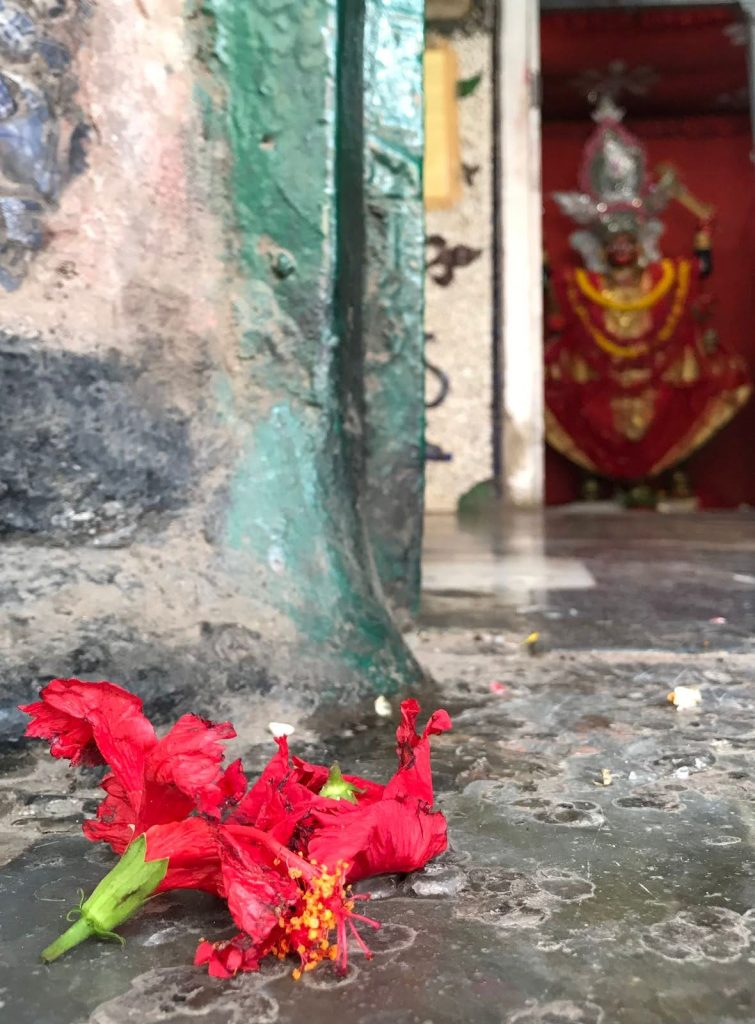 Pujas are here again
